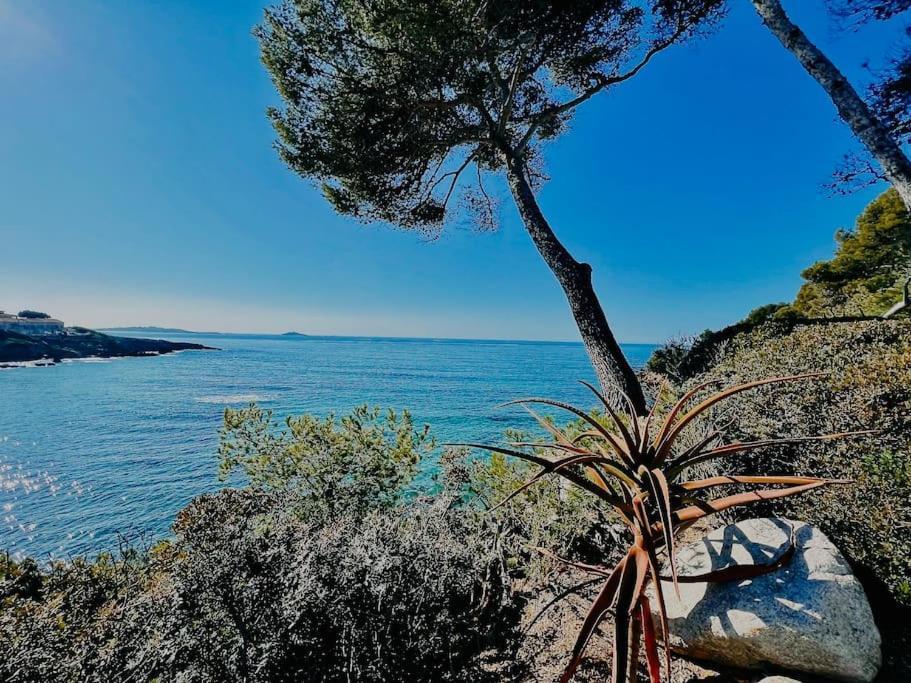 Escapade Au Coeur De Sanary Lejlighed Eksteriør billede